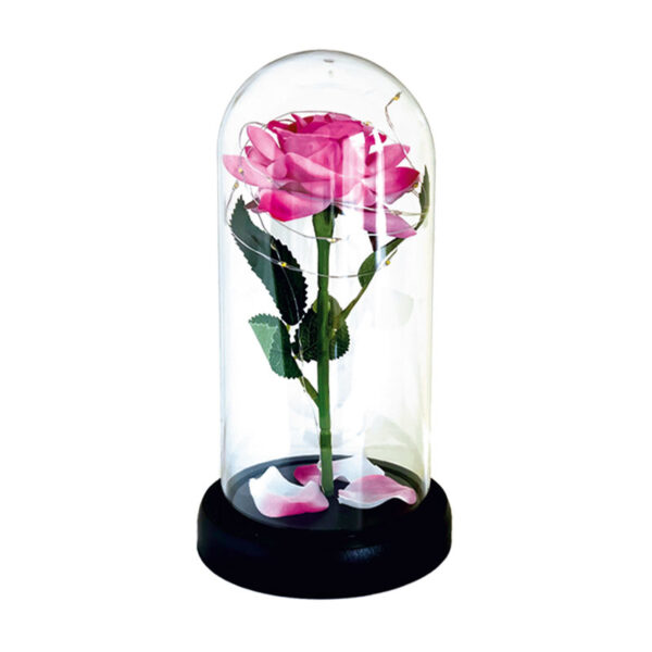 Rosa encantada - Imagen 3